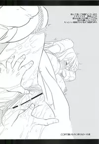 (C81) [Nagiyamasugi (Nagiyama)] Touhou Ryoujoku 14 (Touhou Project)