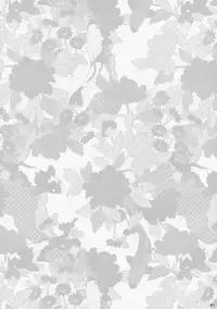 (C77) [super:nova (Yukimachi Tounosuke)] Utsusemi (Touhou Project)