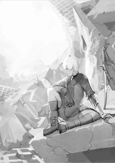 蘑菇的杂图集合