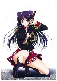 Walkure Romanze More & More Visual Fan Book