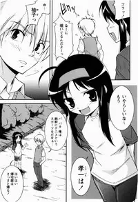 [Nippori] Daisy Blue