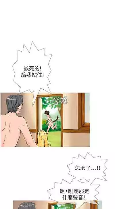 小野貓馴服手冊