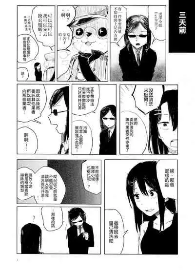 THE SOMEDAY EVENING POST THE INSIDE GIRL