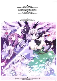 (C80) [Shimoyakedou (Ouma Tokiichi)] Hakugyokurou de Gokyuukei (Touhou Project) [Chinese] 【萌舞の里组汉化+理查N一世个人补充汉化】