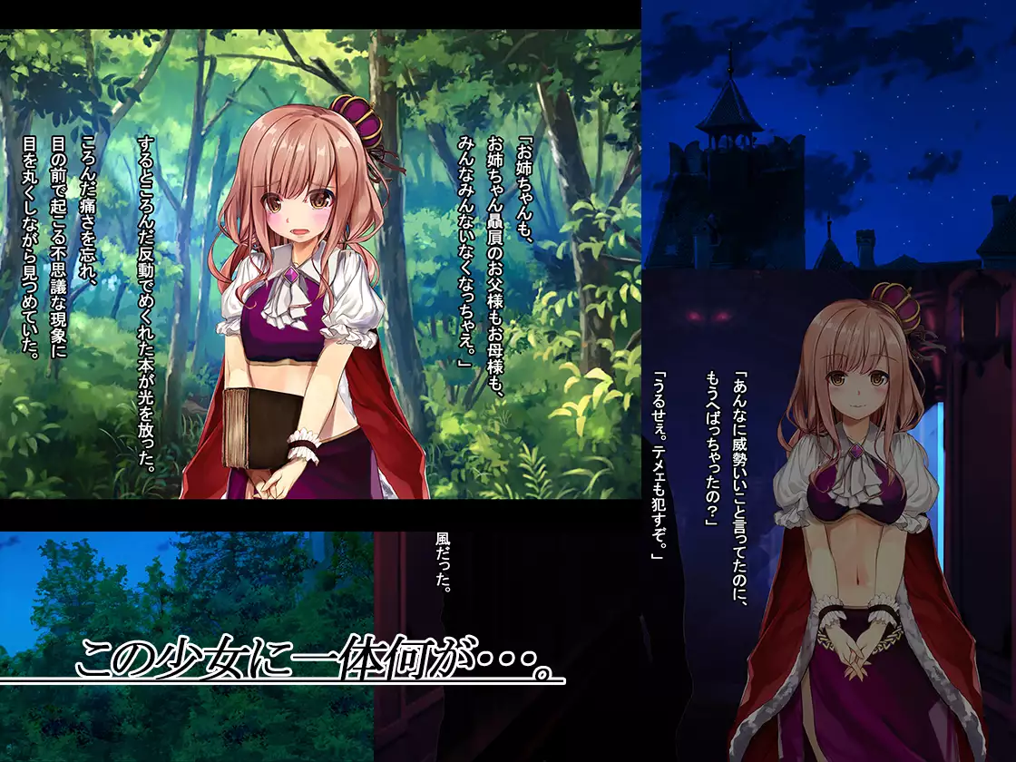 The Price of Vengeance ~Despair of a Maid and Little Sister Princess~