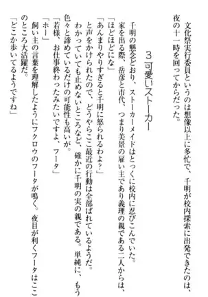 年上メイドの新婚日記